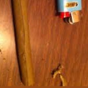 Meet your Posher, Cesar